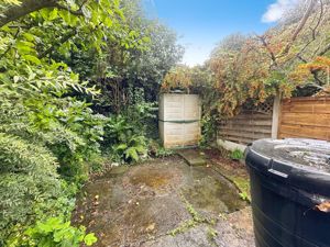 Yard- click for photo gallery